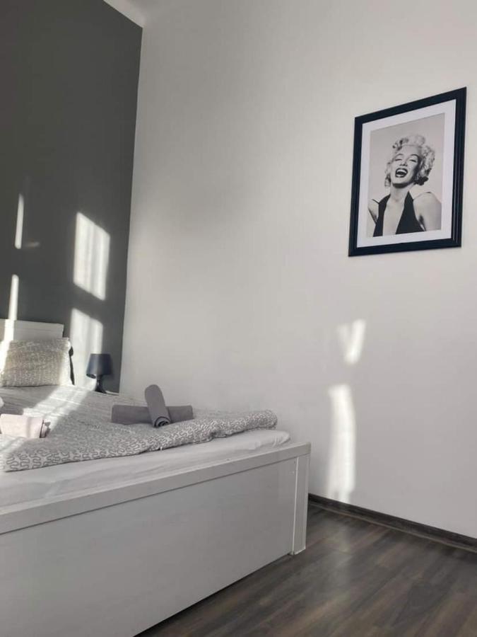 Apartament Szafir 热舒夫 外观 照片