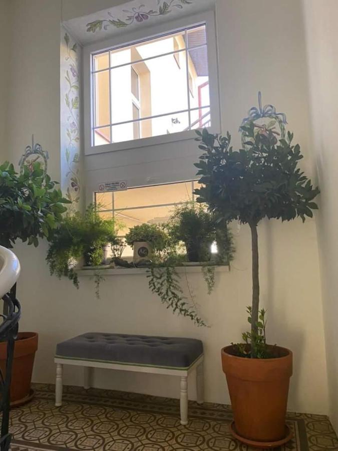 Apartament Szafir 热舒夫 外观 照片